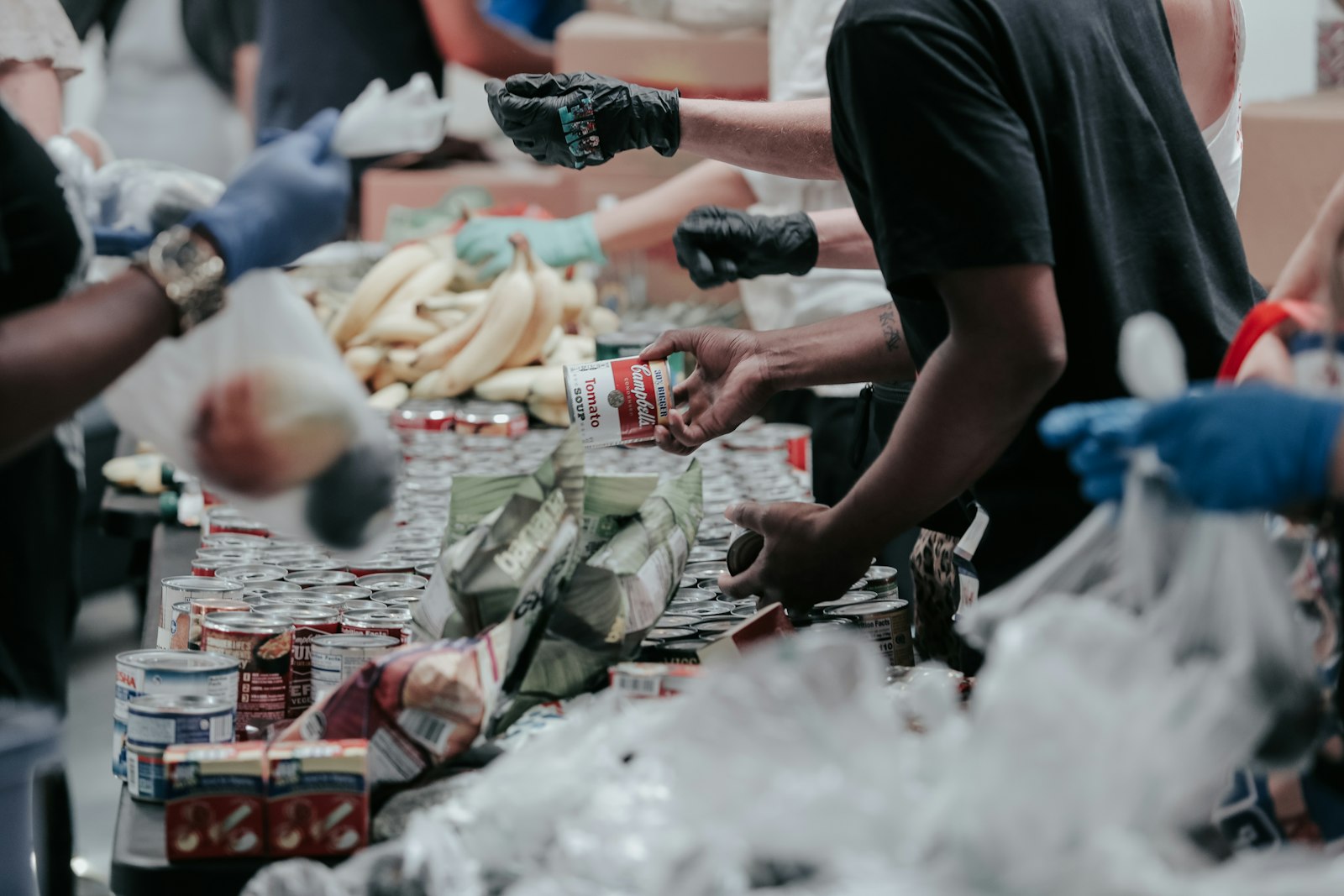 Volunteers sorting donated tinned food and fresh produce at a community food bank